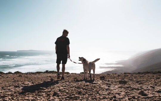 Best Collar for Long Haired Dogs 2025: Reviews + Buying Guide