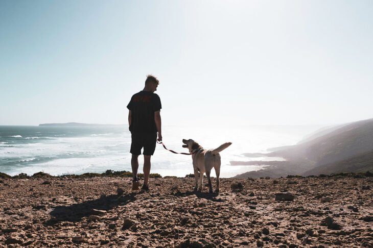 Best Collar for Long Haired Dogs 2025: Reviews + Buying Guide