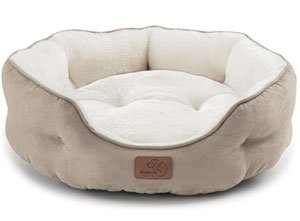 Best Dog Beds for Dachshunds