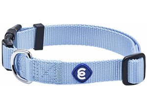 Best Collar for Golden Retriever